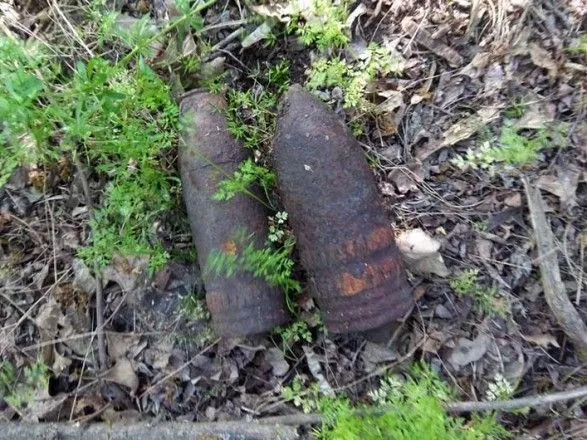 Знайшли на городі та посеред лісосмуги: на Дніпропетровщині піротехники ліквідували боєприпаси, знайдені громадянами