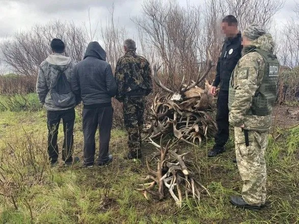 У Чорнобильській зоні виявили порушників радіаційного режиму: збирали оленячі роги