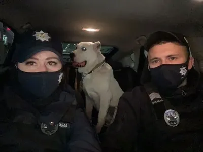 Вночі у столиці поліція знайшла і врятувала собаку
