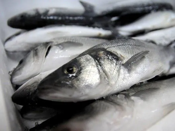 Україна наростила експорт готової та консервованої риби на 14%
