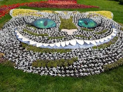 Более 50 тысяч цветов и 3D-объекты: в Киеве появилась "Алиса в стране чудес"