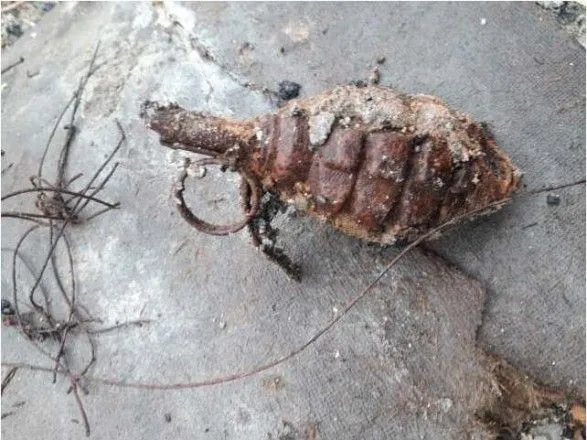 В Житомирской области ребенок нашел гранату во время прогулки с собакой