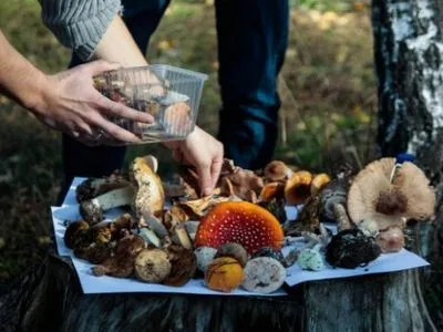 В Кировоградской области зарегистрировали первый случай отравления грибами в сезоне