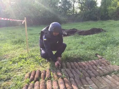 Сотні мін та снарядів виявили у парковій зоні на Вінниччині