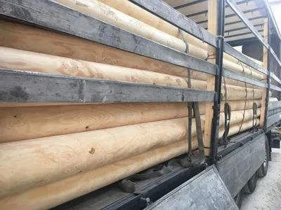 Громадянин Греції організував незаконні оборудки з вивезення української деревини за кордон