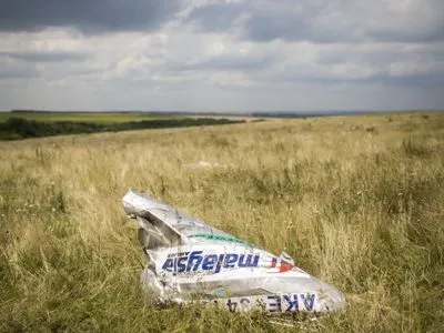 Дело MH17: в телах экипажа обнаружили обломки ракеты "Бука"