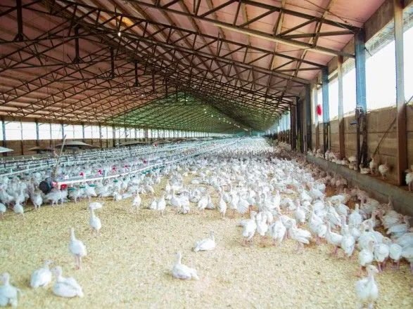 Производитель курятины "Эпикур" скрыл информацию о COVID-19 у работников