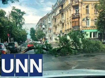 В центре Киева ураган поломал деревья