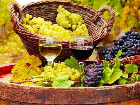 Парламентарии сделали шаг к стимулированию развития виноградарства в Украине