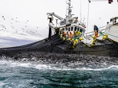 Пандемия: Норвегия отреагировала на заявления о том, что местный лосось - стал причиной вспышки COVID-19 в Пекине