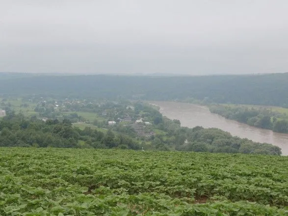 Подъем воды в реке Днестр: под угрозой затопления несколько сел в Тернопольской области
