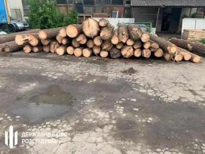 Убытков на 2 млн грн: на Прикарпатье чиновники лесничества подозреваются в незаконной вырубке леса