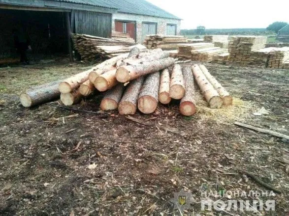 Ексдиректора лісгоспу судитимуть за привласнення деревини на понад 600 тис. гривень