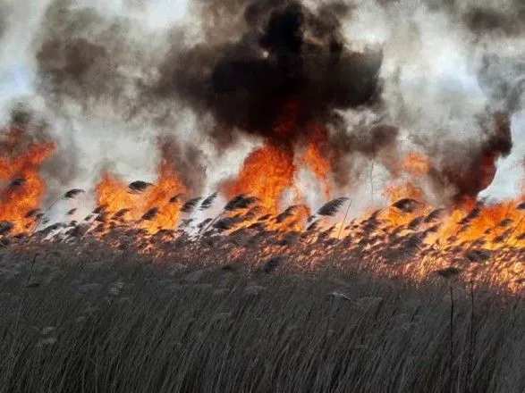 В Днепропетровской области горело поле сухостоя
