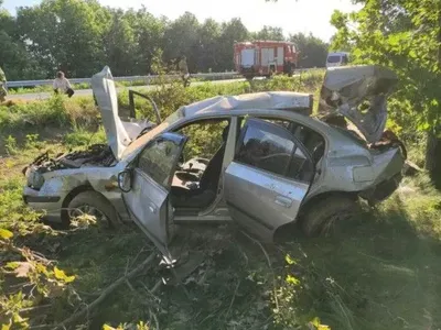 В Запорожской области из-за столкновения автомобиля с деревом погибла женщина, четверо людей пострадали