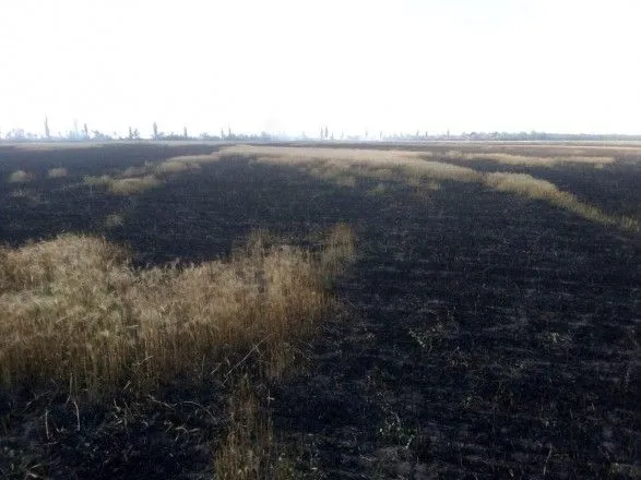 В Николаевской области на пшеничных полях произошел масштабный пожар