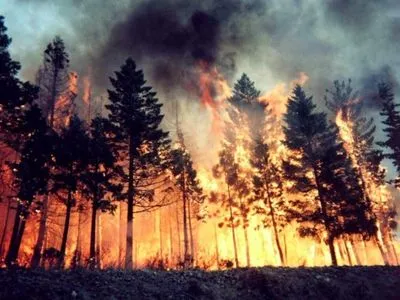 На Луганщині у двох лісництвах сталася пожежа