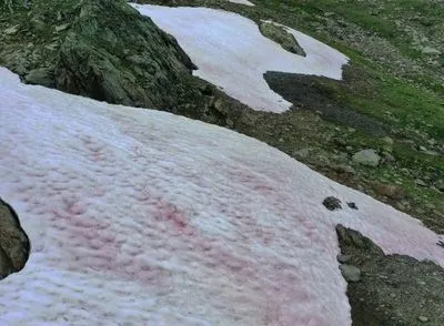 В італійських Альпах "рожевими" стала частина льодовиків, вчені підозрюють зміни клімату