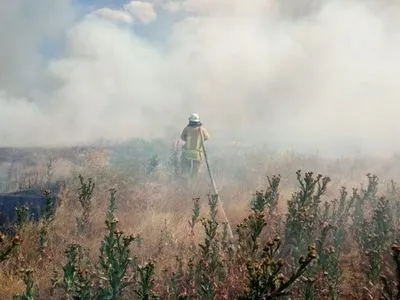 В Херсонской области за сутки ликвидировали 18 природных пожаров