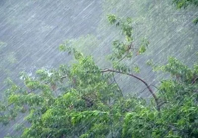 В Ровенской области непогода подтопила села и повалила деревья