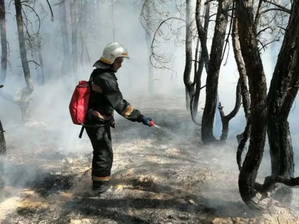 На Днепропетровщине спасателями ликвидирован лесной пожар
