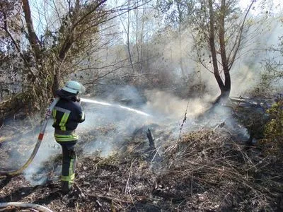 Лесной пожар в Луганской области еще не ликвидировали