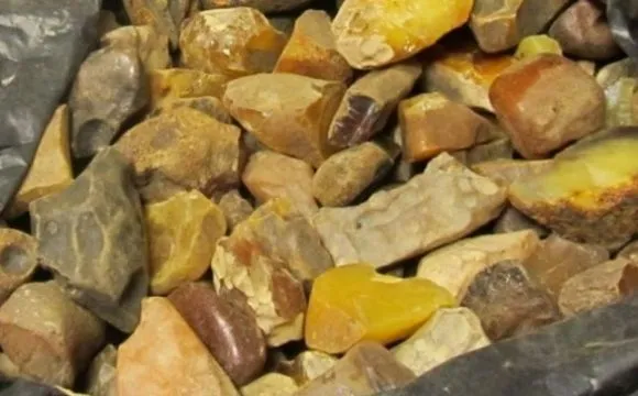 В Ровенской области в авто обнаружили почти 12 кг янтаря