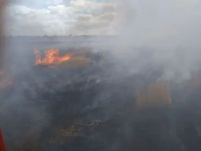 В Донецкой области выгорело 24 га пшеничного поля
