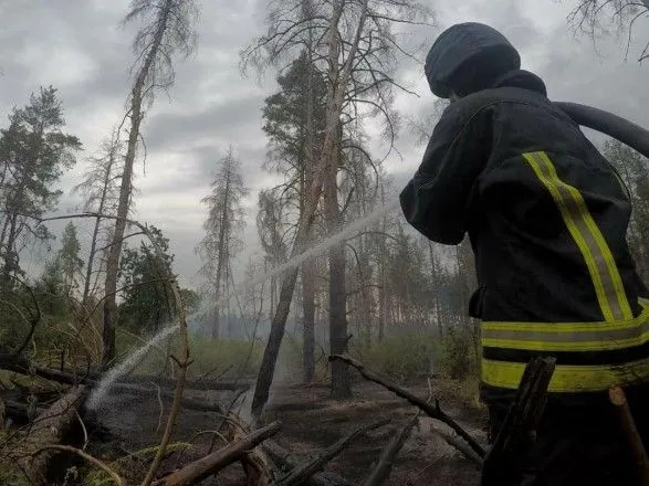 В ГСЧС рассказали про очередной лесной пожар на Луганщине: открытого огня нет, тлеют сухая трава и древесина
