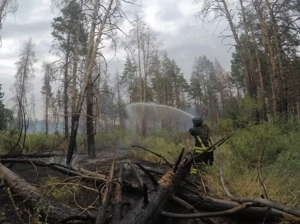 В Луганской области новый пожар в лесу: к тушению привлекли около сотни спасателей