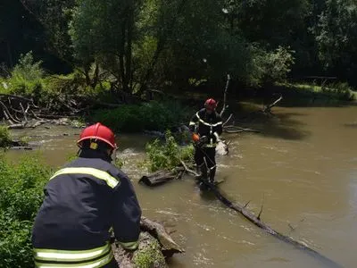 На Закарпатті рятувальники розчищають річку від сміттєвих заторів