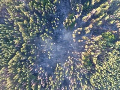Лісова пожежа на Луганщині: досі тліє суха трава та чагарники