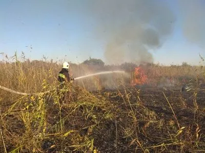 В Луганской области локализовали возгорание травы