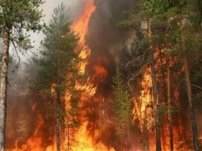 Синоптики предупредили о пожарной опасности в ряде областей
