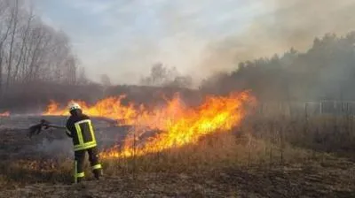 На Хмельниччині пожежа за годину знищила 16 га пшениці