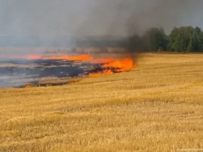 Пожар в Донецкой области выжег 21 га пшеницы - ГСЧС