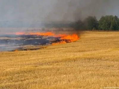 Пожар в Донецкой области выжег 21 га пшеницы - ГСЧС