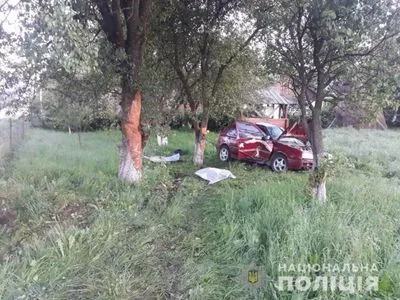 На Закарпатье легковушка влетела в дерево, погибли два человека