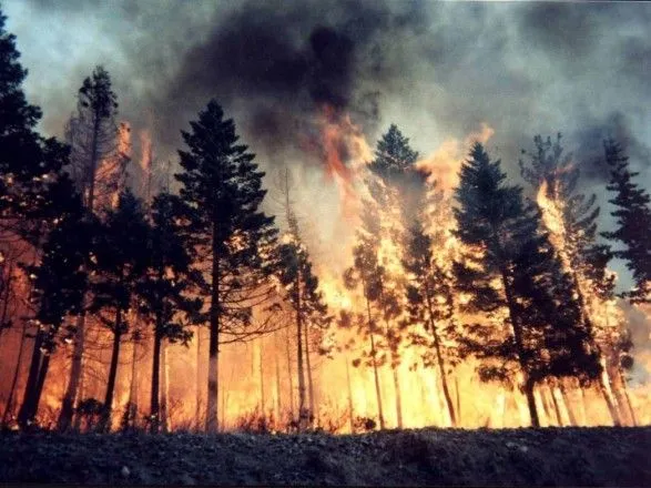 В ряде областей объявили чрезвычайный уровень пожарной опасности