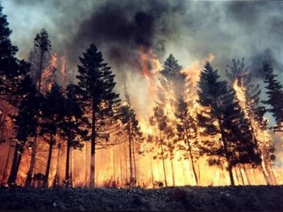 В ряде областей объявили чрезвычайный уровень пожарной опасности