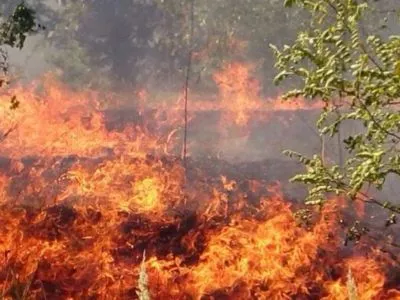 В некоторых областях Украины наблюдается чрезвычайный уровень пожарной опасности - ГСЧС