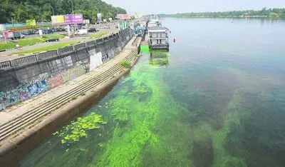 Исследования показали, чем были загрязнены воды Днепра в июле