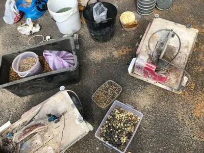 В Ровенской области во время обысков обнаружили янтаря на 2 млн грн