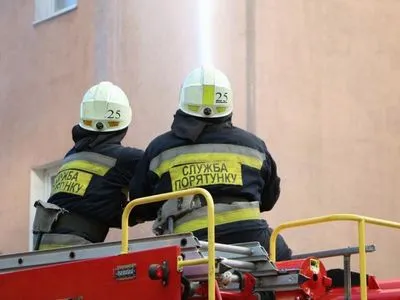 Аист с ведром: в Украине планируют создать противопожарный символ