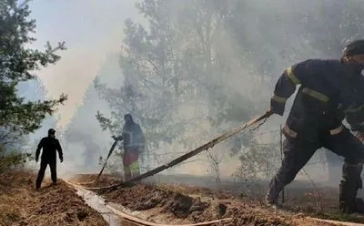 Кількість пожеж зростає в геометричній прогресії: з початку року в Україні вигоріло понад 100 тисяч га лісу