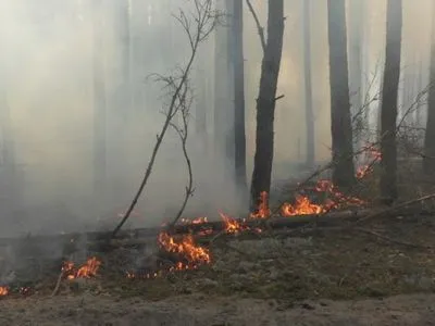 Эксперт заявил, что лесные пожары в Украине тушат неправильно