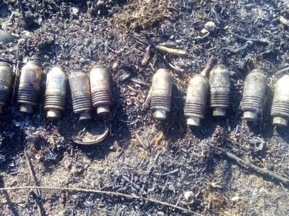 На Миколаївщині знайшли авіабомбу та підствольні гранати