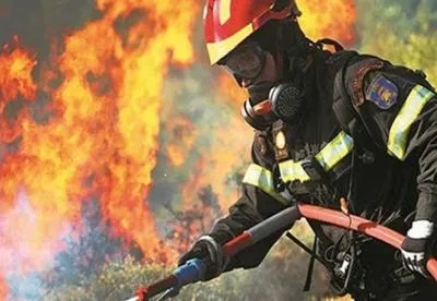 У Греції лісова пожежа досяг руїн міста Мікени - об'єкта ЮНЕСКО