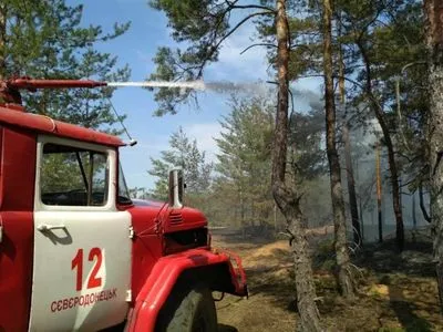 На Луганщині знову сталася лісова пожежа