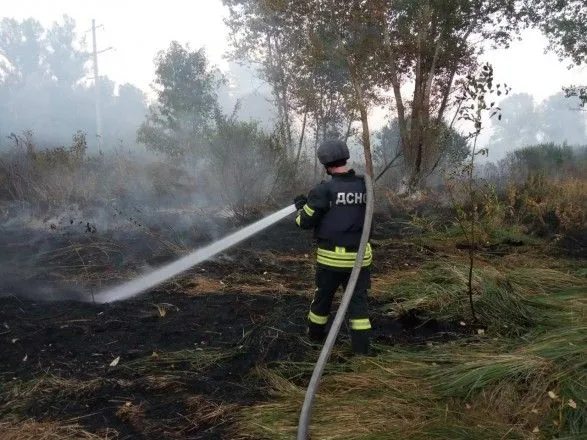 Пожежі на Луганщині спалахнули внаслідок обстрілу – джерело